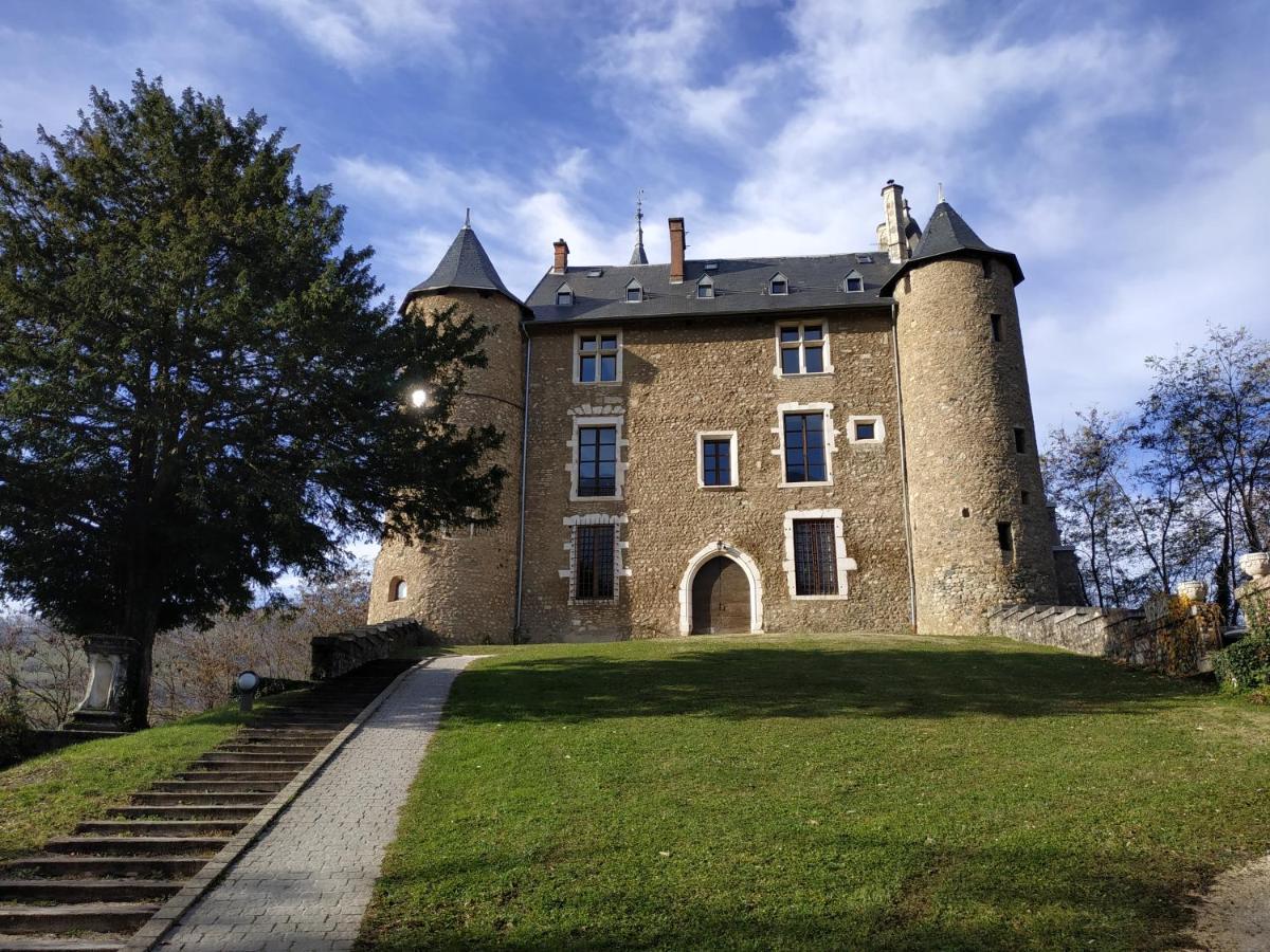 Appartement Chateau Uriage-Chamrousse Saint-Martin-dʼUriage Exterior foto
